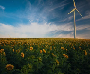 pós graduação em gestão ambiental